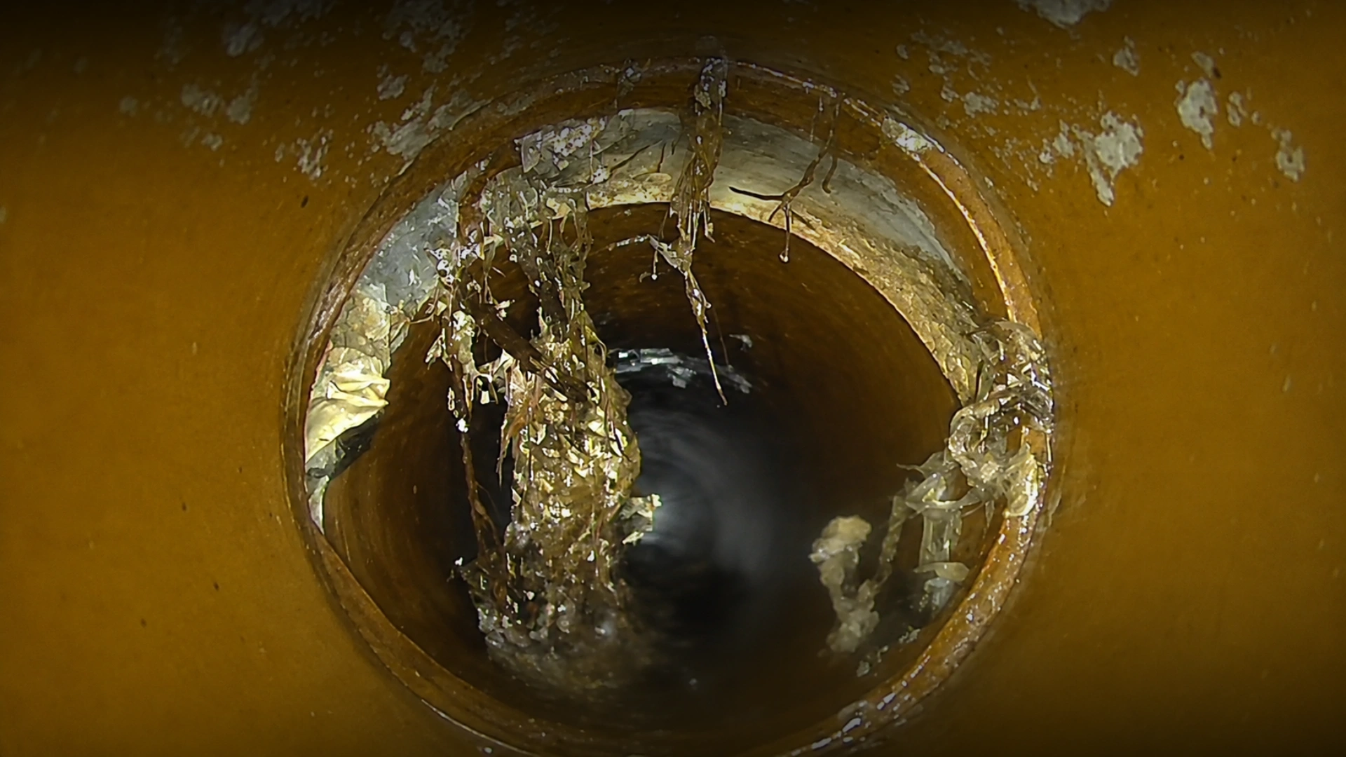 CCTV Drain Inspections Wellington