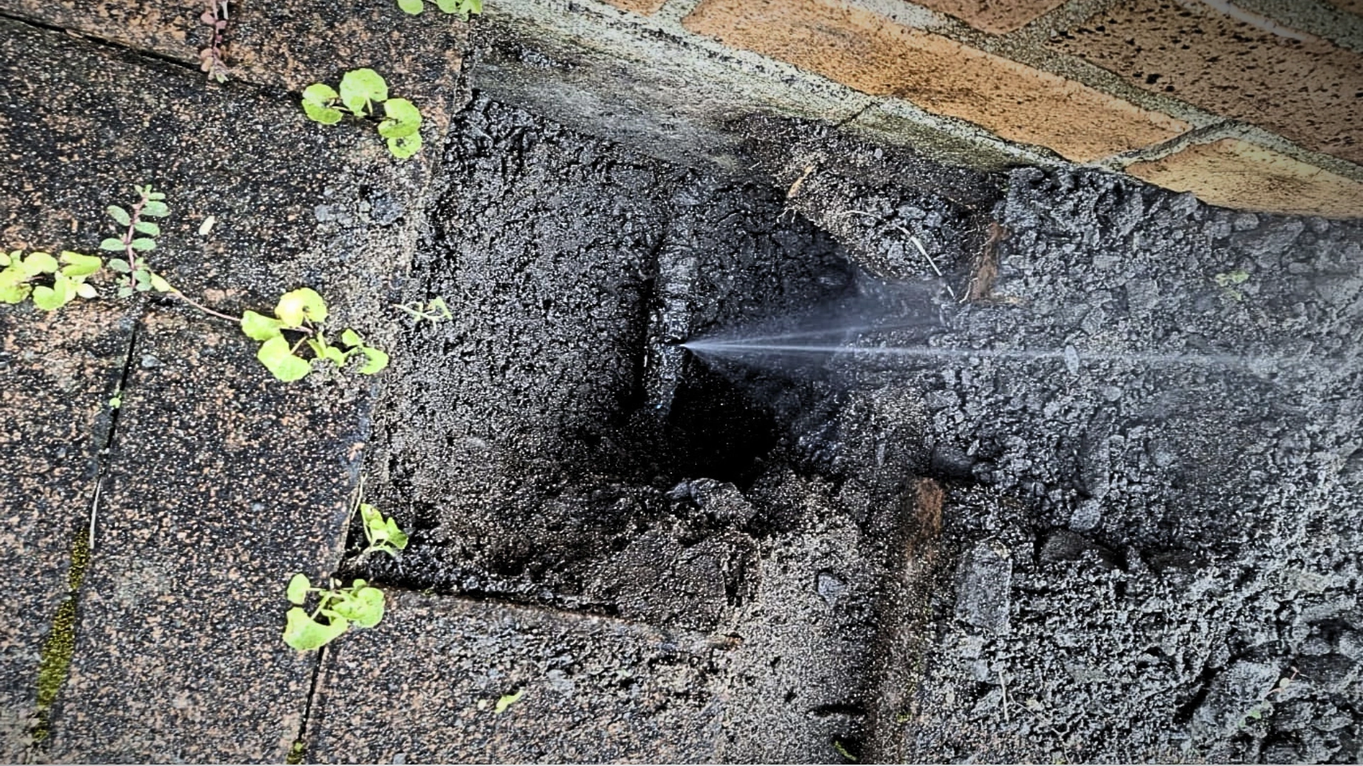 Plumbing for Property Managers Wellington