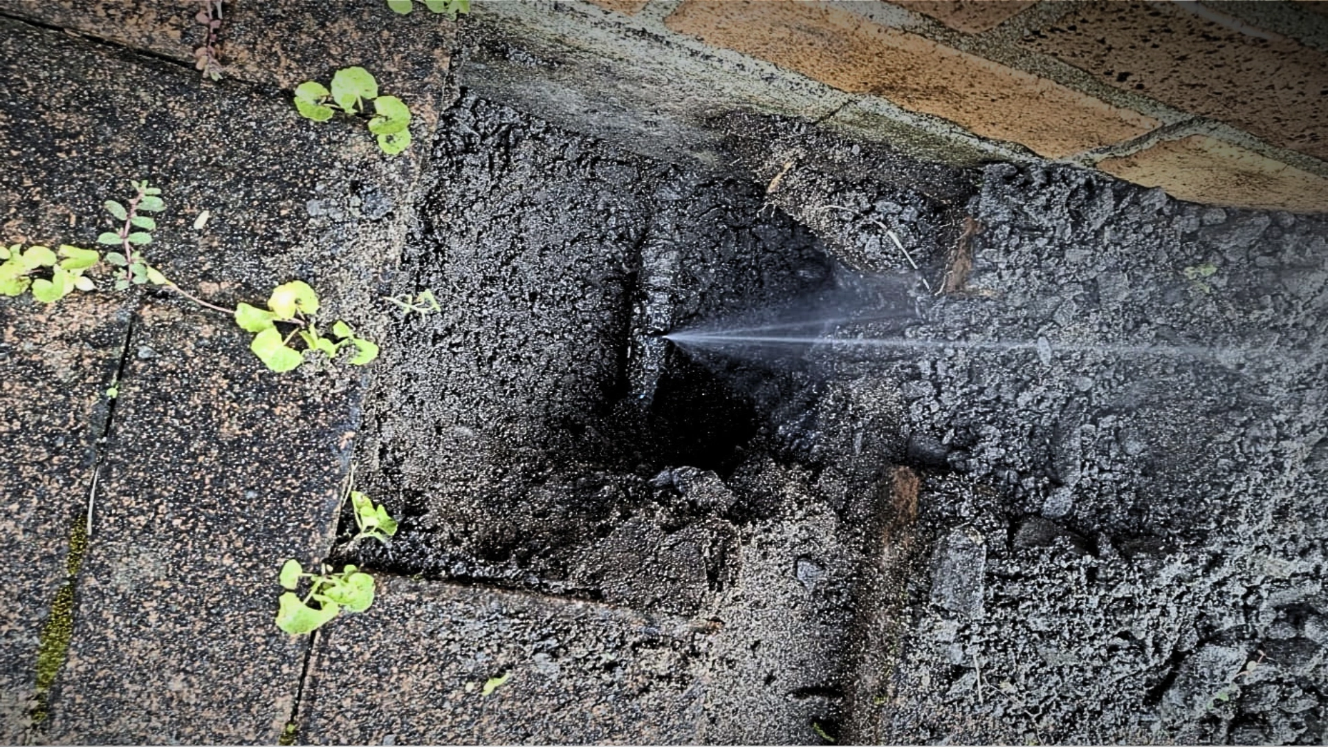 24/7 Emergency Plumber Wellington